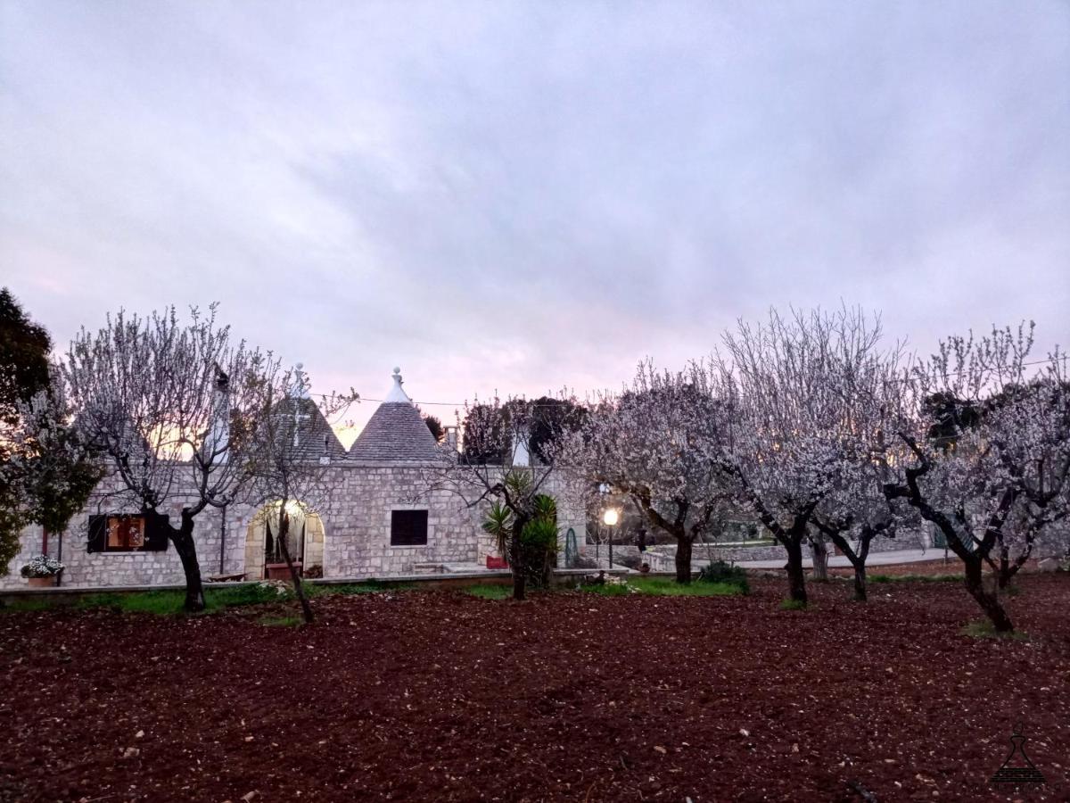 Il Mandorlo Villa ออสตูนี ภายนอก รูปภาพ